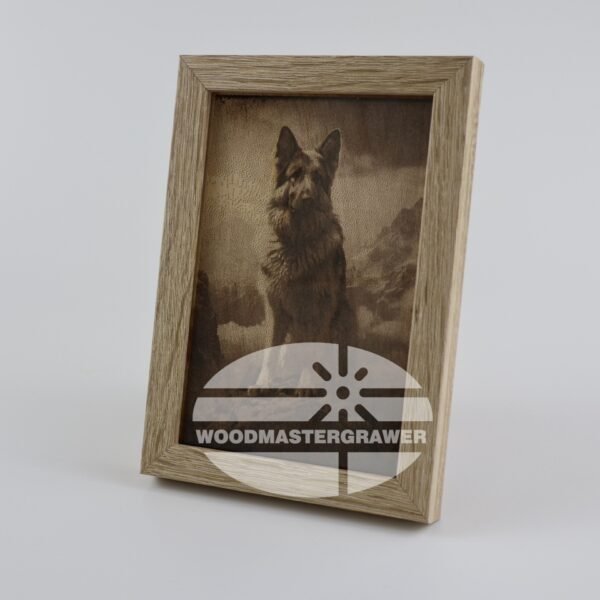 German Shepherd. Catalog number - 001.04.01.01.01.A