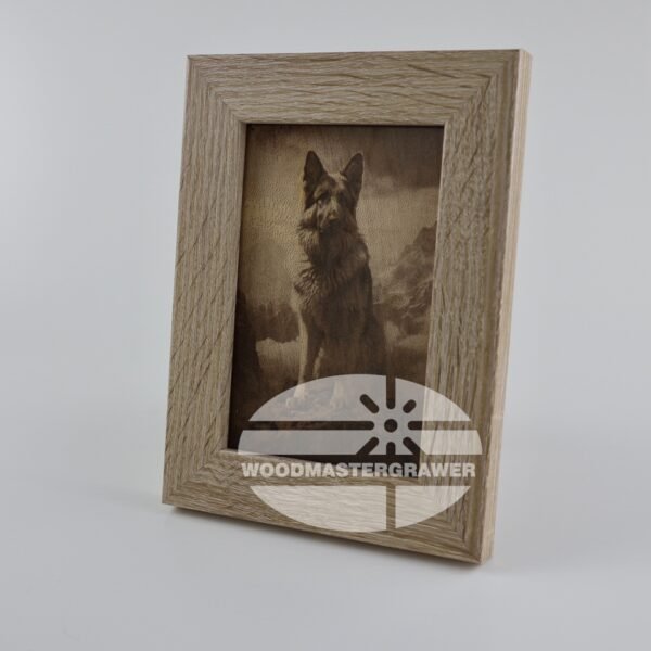 German Shepherd. Catalog number - 001.04.01.01.01.B