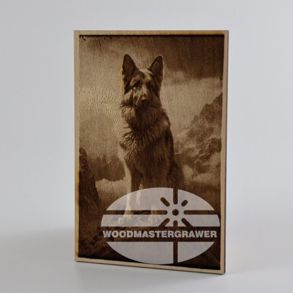German Shepherd. Catalog number - 001.04.01.01.01.00