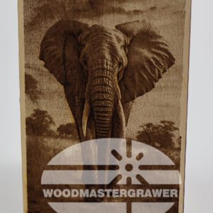 Elephant. Catalog number - 001.04.02.01.00